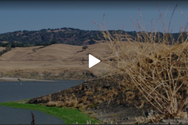 Titelbild  Video Wassermangel SRF